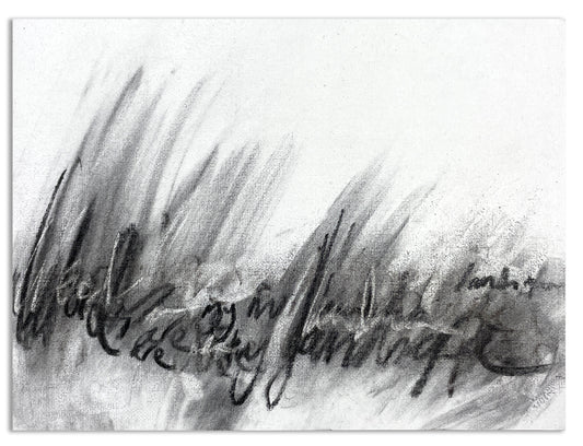Words are my landscape